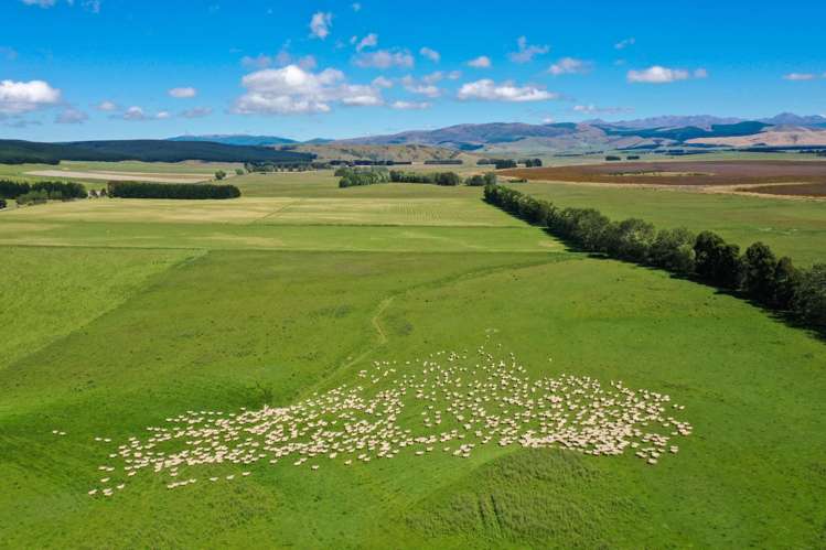 109 Affleck Road Castle Downs_22