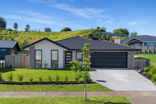 83 Whakaturou Crescent Pyes Pa_1