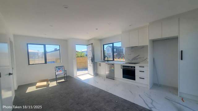 117A Edinburgh Street Spreydon_2