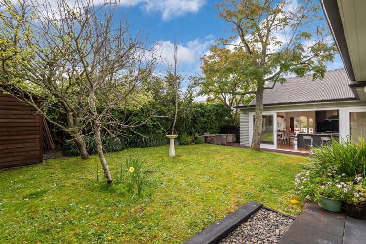7 Moira Street Ponsonby_7