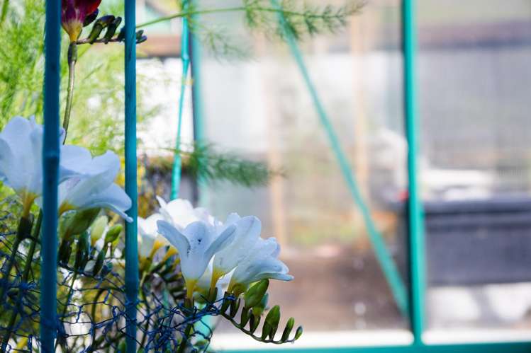 119 Marsden Road Greymouth_20