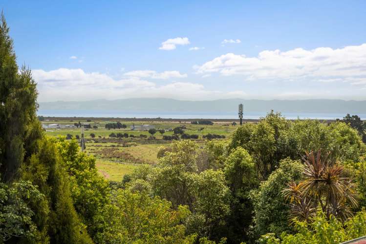 102 Whitehead Way Thames_17