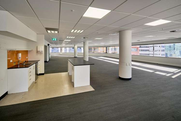 8 Gilmer Terrace Wellington Central_11
