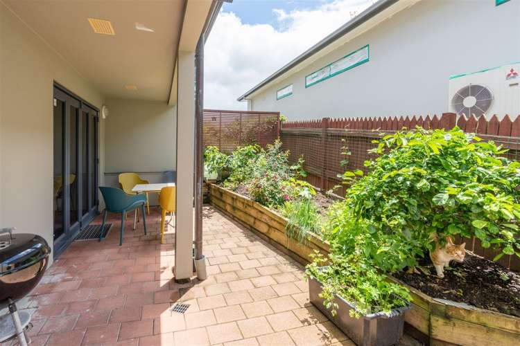 17 Radnor Street Hamilton Central_11