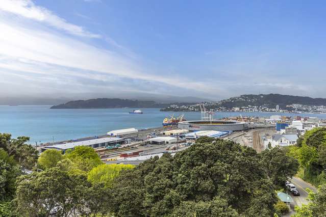 11 Lower Watt Street Wadestown_2