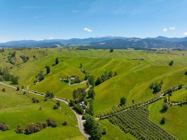 600 Neudorf Road Upper Moutere_3