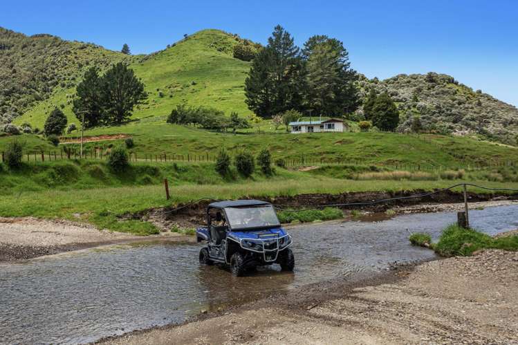 2060 Motu Road Opotiki_2