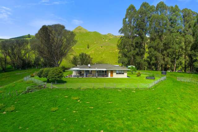 36 Kirikau Valley Road Taumarunui_1