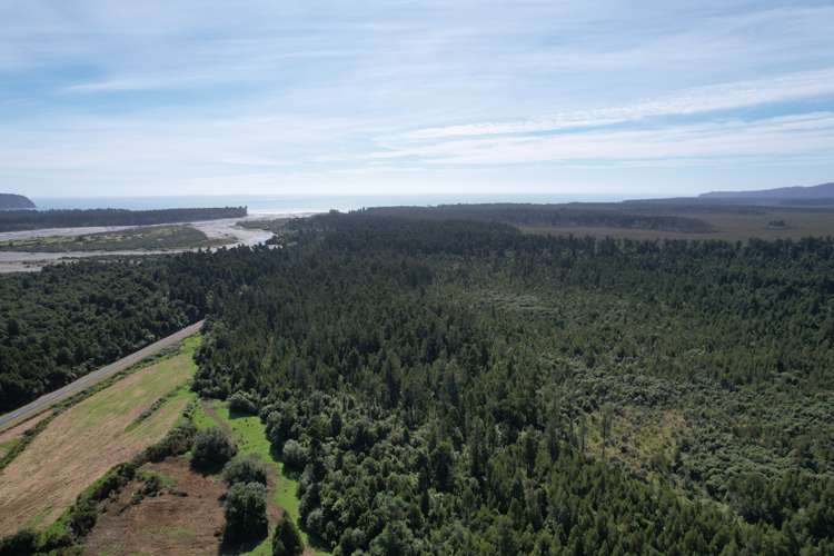 21 Mcgloin Road Bruce Bay_15