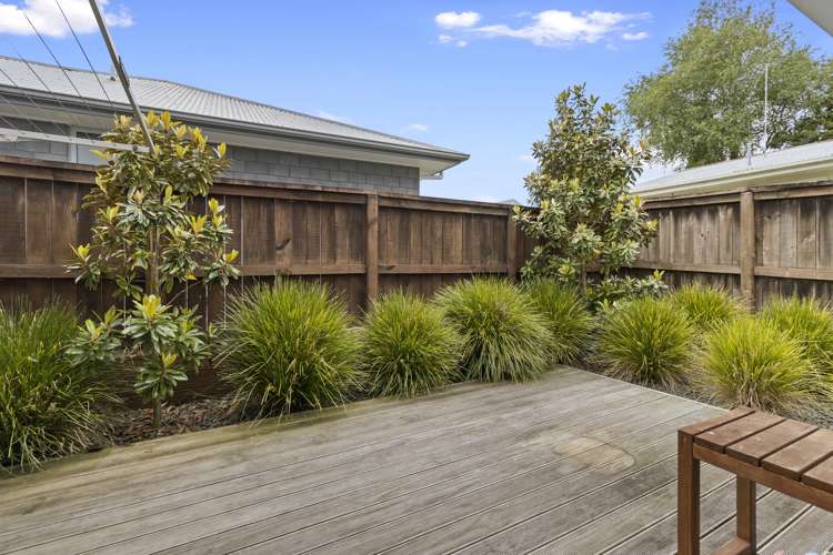 5/5 Rm E Edgecumbe Street Whitiora_4