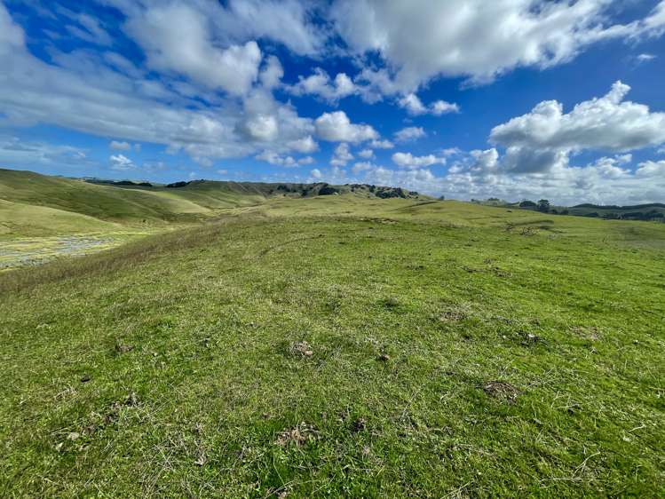 426 Mangarata Block Road Arapohue_9