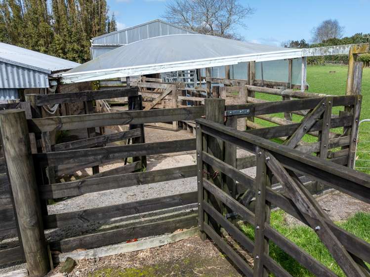 467 Bald Hill Road Waiuku_5