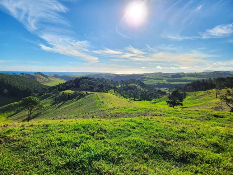 Babylon Coast Road Dargaville_15