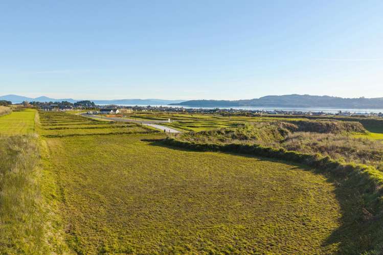 60 Wharariki Rise Wharewaka_6