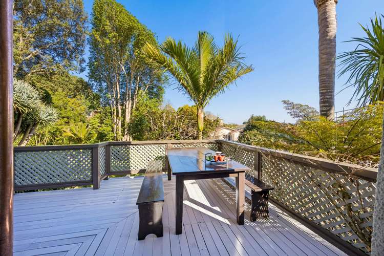 16A Ngauruhoe Street Mount Eden_11