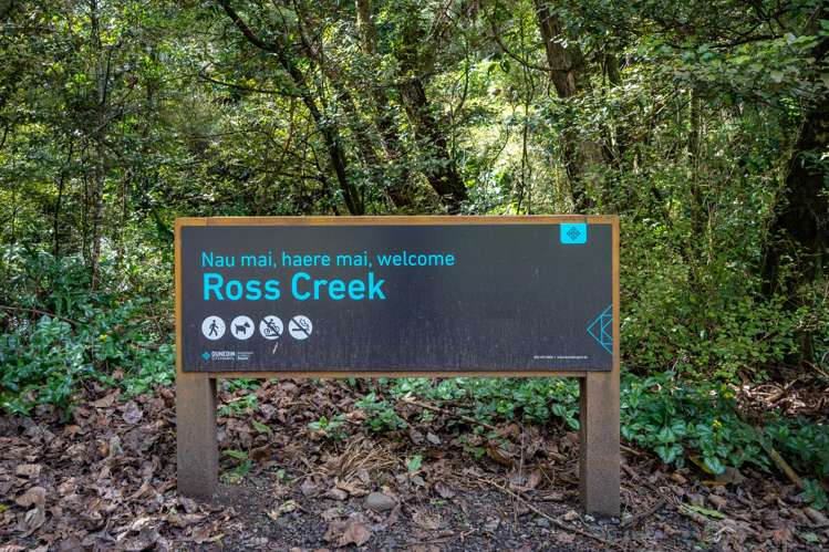 9 Islay Street Glenleith_5