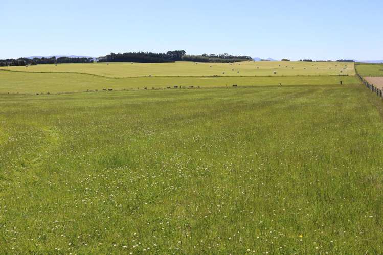 878 Downs Road Edendale_21