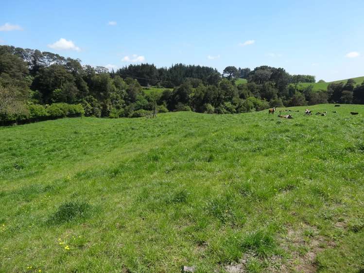 357 State Highway 5 Tapapa_13