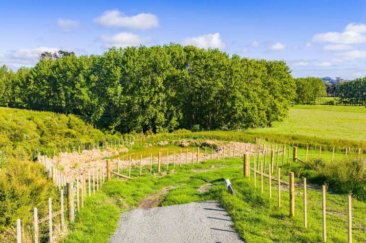 42 Ocean Sounds Place (Proposed Lots 4 and 5) Mangawhai_9