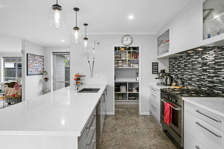 9 Homestead Lane Cambridge_5