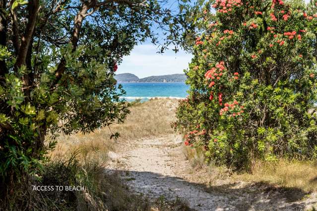 762 Ohui Road Opoutere_4