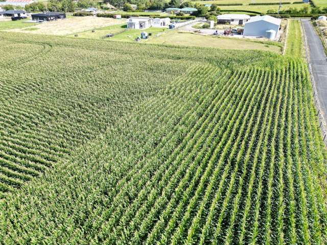 Monmouth Road Stratford_4