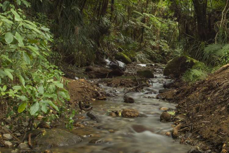 504b Lockington Road Aongatete_25