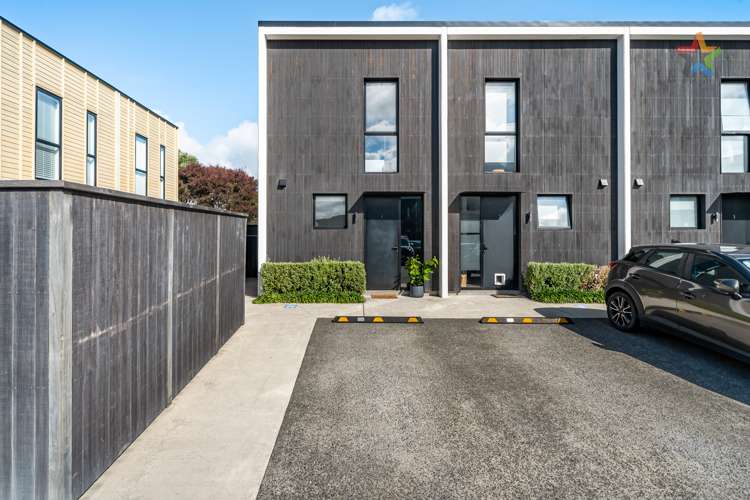 1 Te Ara O Paetutu Petone_25