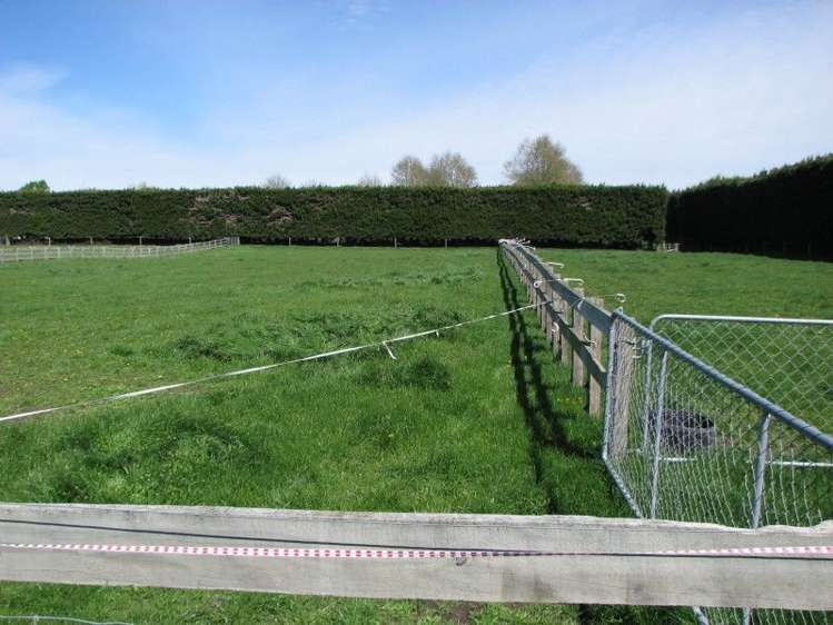 400 Ashburton Staveley Road Greenstreet_12