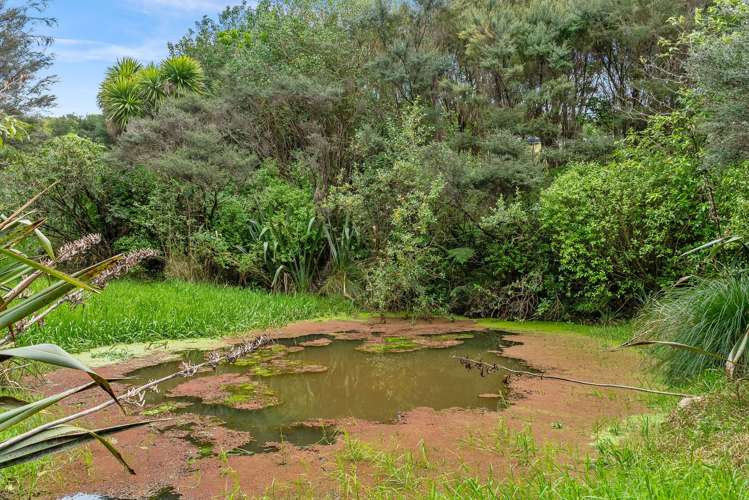 107 Lawrence Road Mangawhai_15