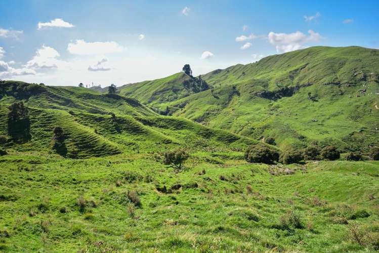 1678 Tiniroto Road Waerenga-O-Kuri_27