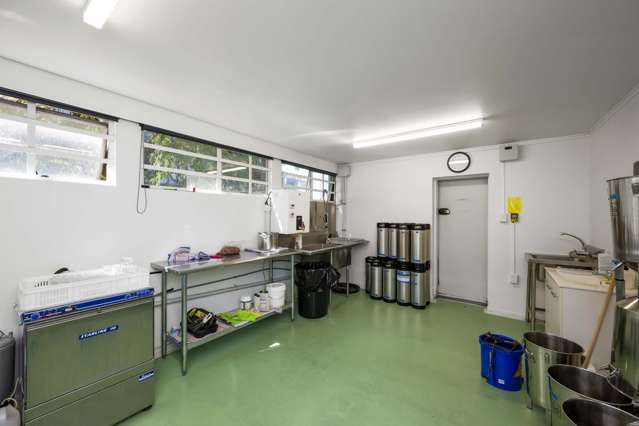 37-39 Crummer Road Grey Lynn_3