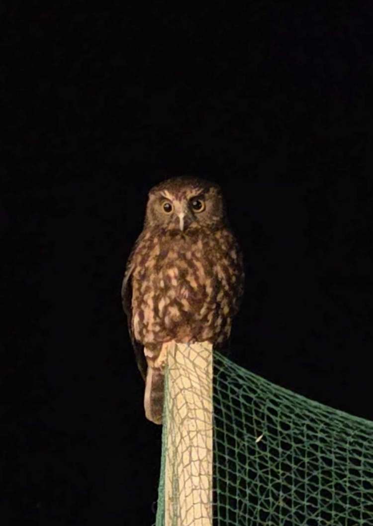 101 Waitokitoki Way Tutukaka_19