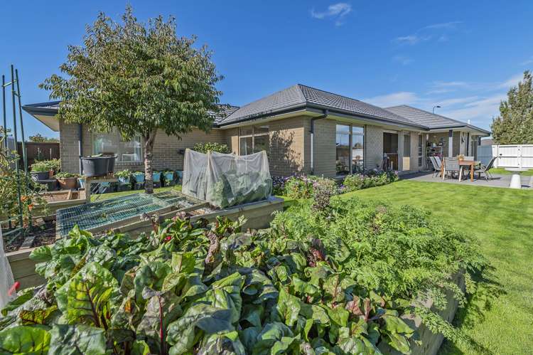 47 Navy Loop Rolleston_25