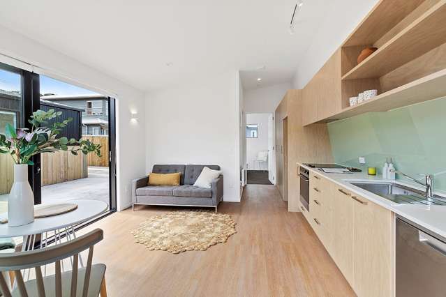 46B Camperdown Road Miramar_2