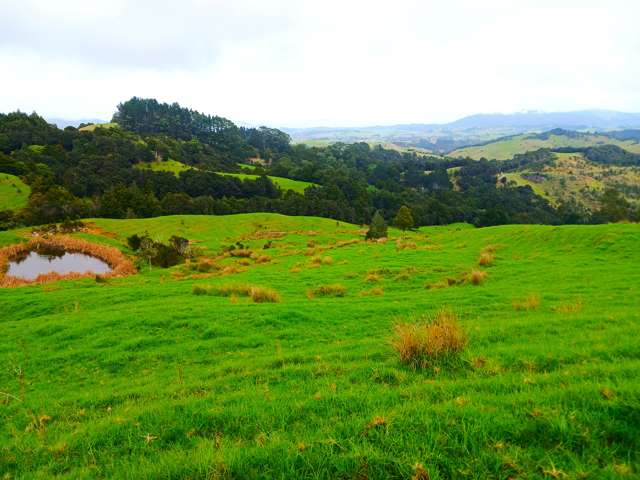 Lot 1 & 3 Fisher-Riley Road Kaitaia_1