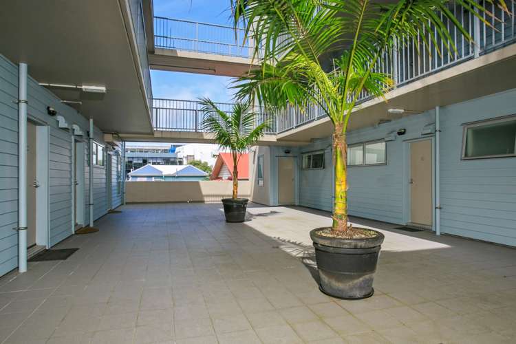 1i/33 Mackelvie Street Grey Lynn_7