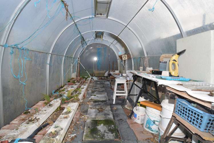 117 Ythan Street Appleby_15