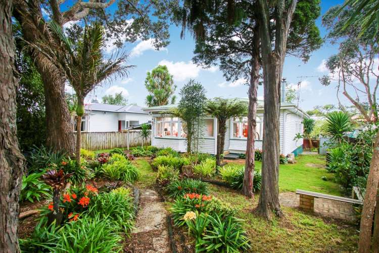 5a Holly Street Avondale_15