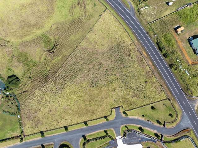 Pollok Lifestyle Starter