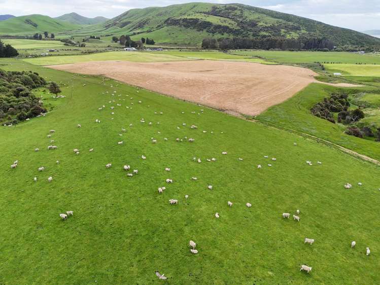 124 Niagara Waikawa Road Tokanui_1