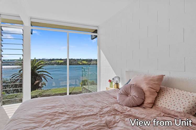 14 Darwin Lane Remuera_32