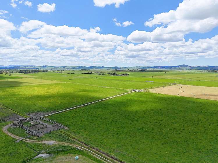 Freyberg Road Ruawai_3