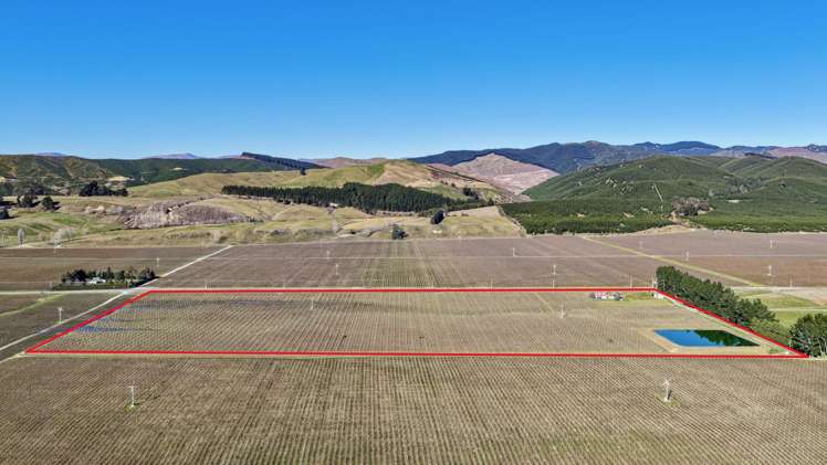 2486 State Highway 63 Wairau Valley_11