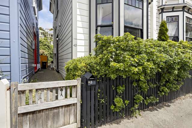 43 Aro Street Aro Valley_2