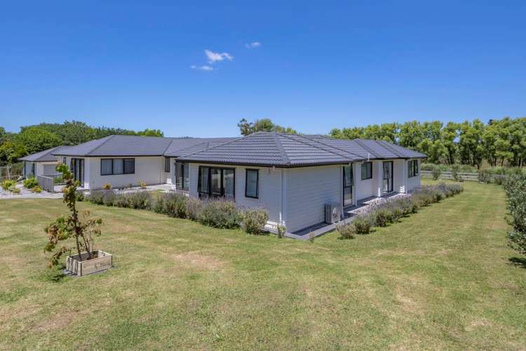 134 Postman Road Dairy Flat_29