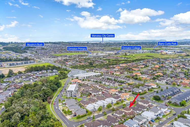 24 Birchlands Road Flat Bush_20