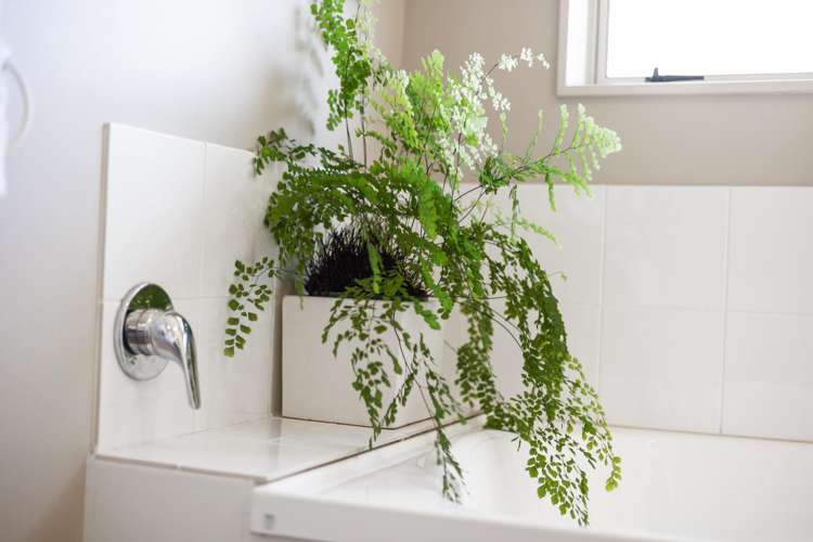 7 Mirbeck Avenue Cambridge_17