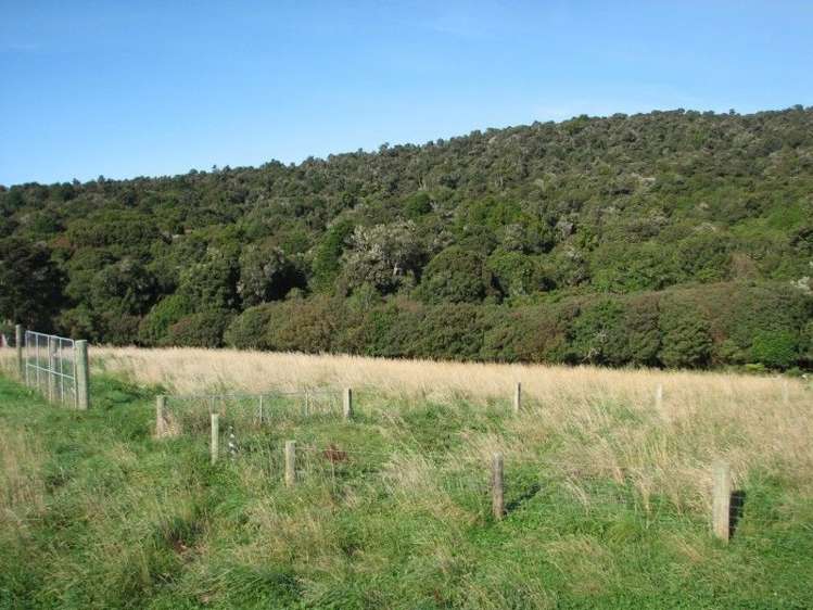 25 Tahakopa Valley Road Papatowai/Pounawea_14