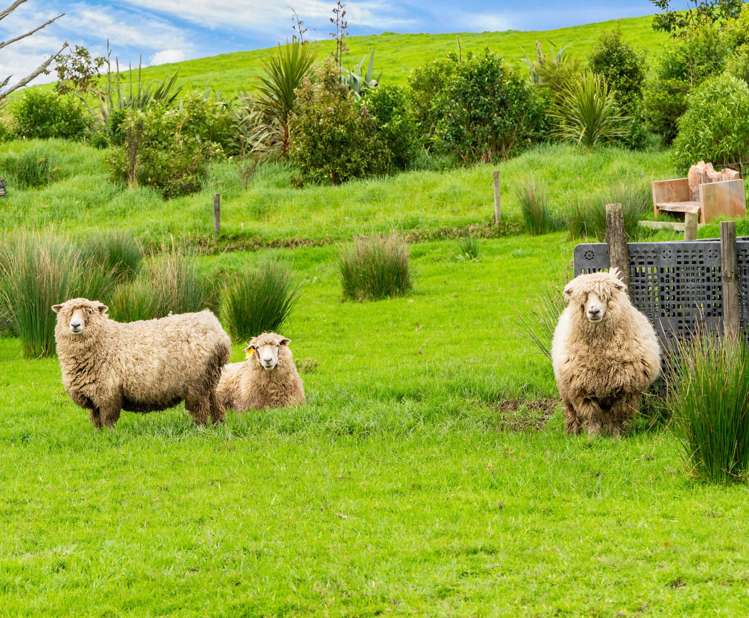 15 Massey Road Waipu_15